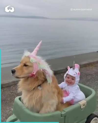 WE RIDE AT DAWN