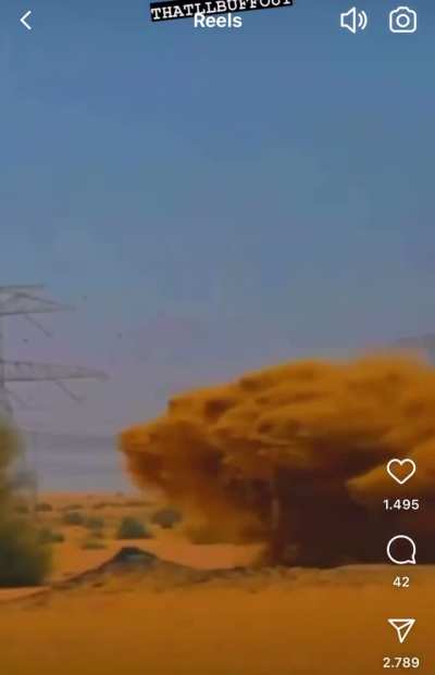 Sand flying 