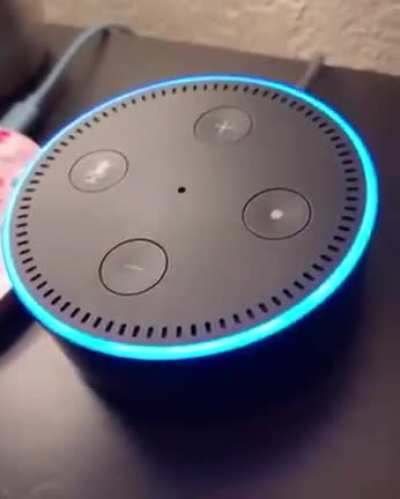 Alexa really be a BRAPP queen.