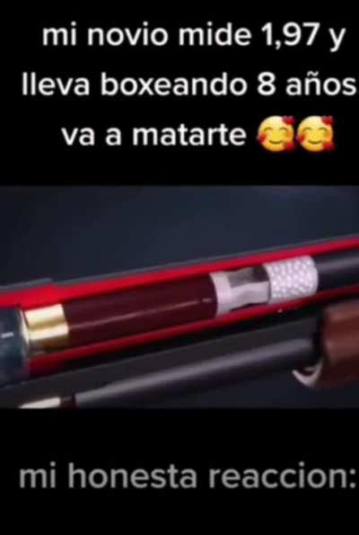 BeelcitosMemes - Video #8917