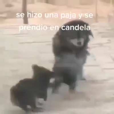 DX