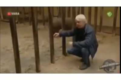 Sorry for bad quality