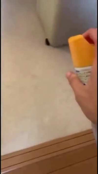 THEY ARE EVOLVING!!!