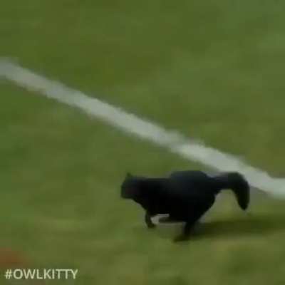 Kedy tam doksana &ccedil;aktı topu