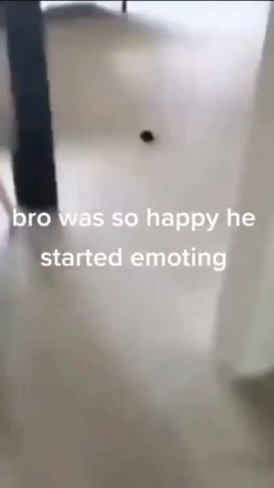 bro got too excited