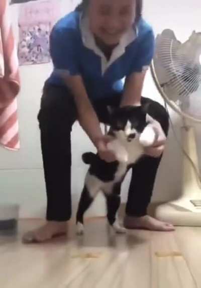 I belive i can fly