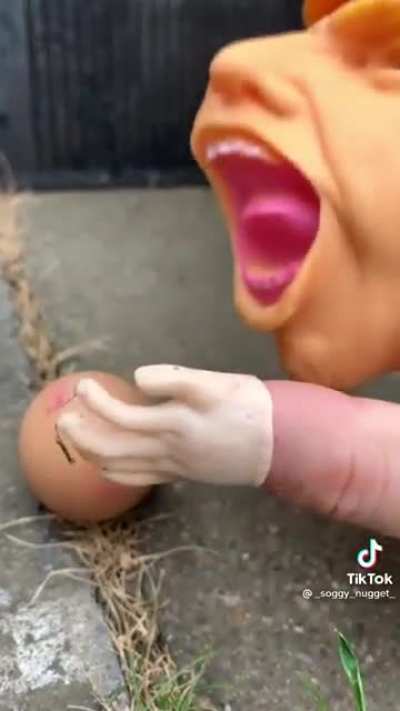 Egg