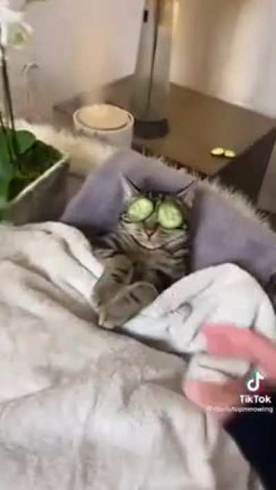 Just chilling