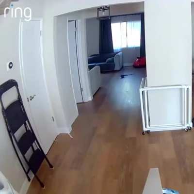 Man who identified himself as ‘Harry Dresden’ in the viral Ring doorbell footage, seen breaking into the home in footage from inside the house.