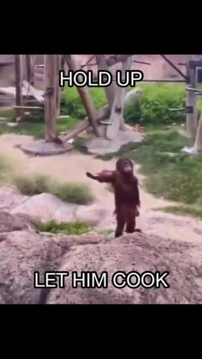 Let him cook
