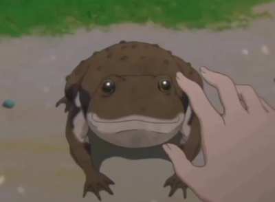 team frog