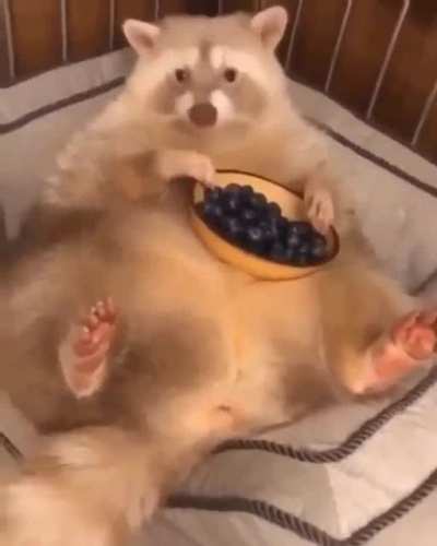 MRW my grandma makes me snacks and I can&rsquo;t be rude