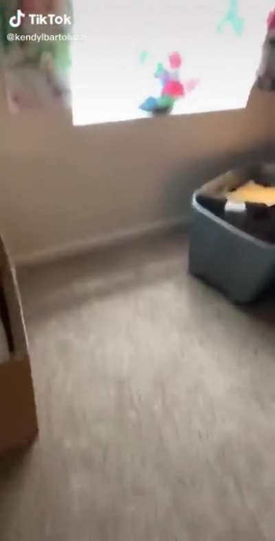Ooaboabwabhea