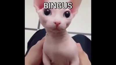 Uff no puedo dejar de mirar las tetas que tiene