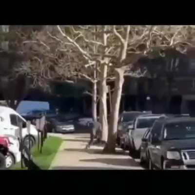se re vivi&oacute; el wachin