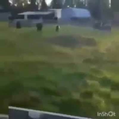 Nao sei se &eacute; repost (desculpa se for)