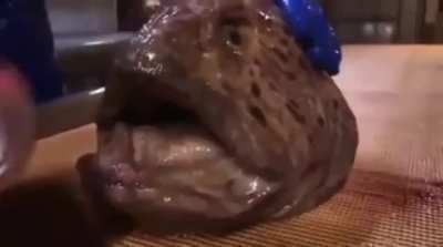 The head of a Wolf Eel can still bite and poison you after it&rsquo;s been decapitated.