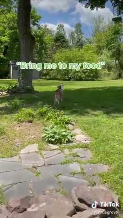 &ldquo;You live to serve me human!&rdquo;