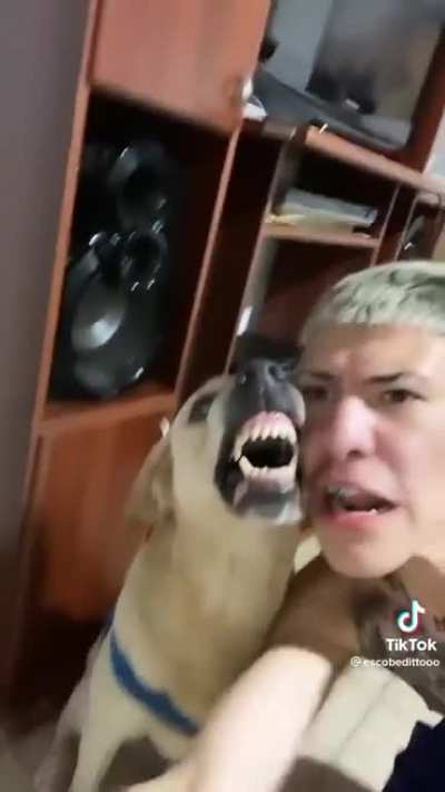 cool beatbox.