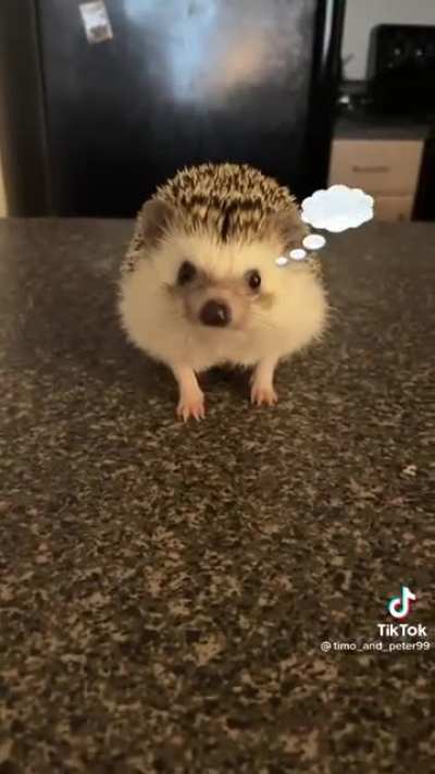 This new filter&rsquo;s been making me concerned