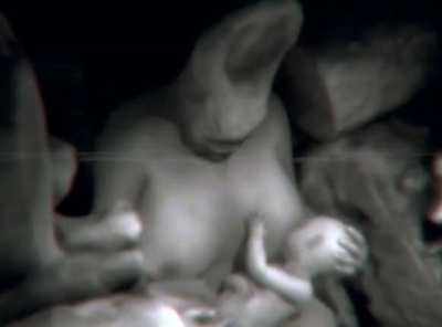 Cursed_mother