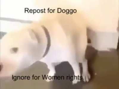 Ok