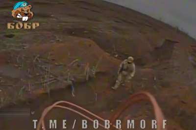 Multiple "BOBR" FPV drone strikes targeting equipment and infantry of the AFU near Robotyne, posted 19.02.2024