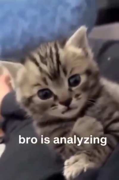 Intelligent Wunkus