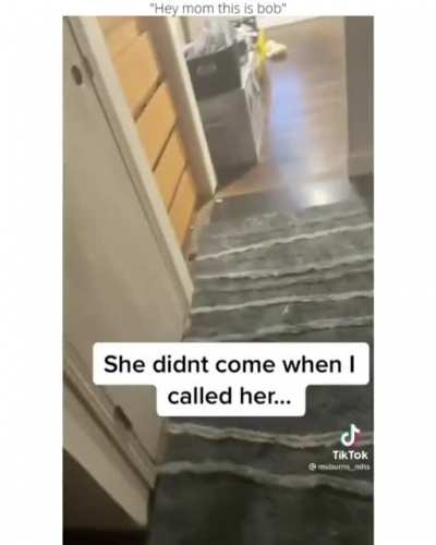 What da dog doin?