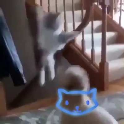 Pressing E as Meowrick