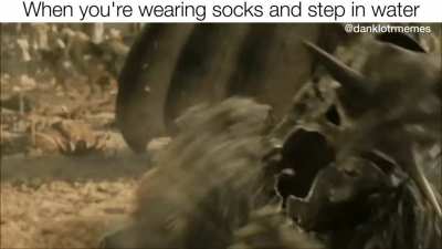 P A I N
