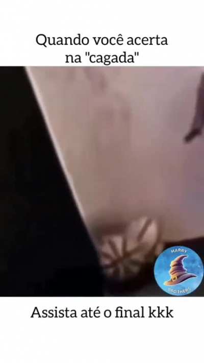 Que cagada