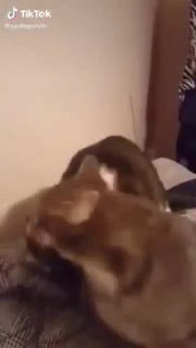 Small bite.. just a nibble..