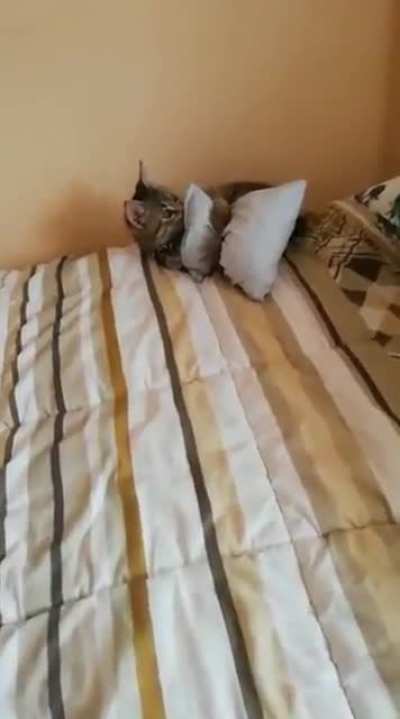He fell down to the abyss