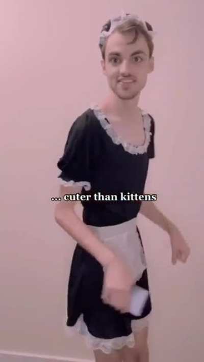to serve at a maid café