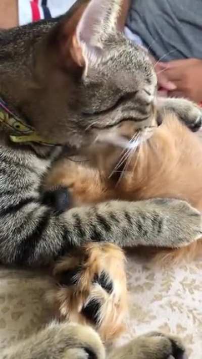 Best friends forever.