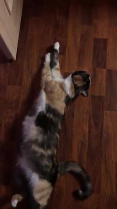 Stretch &amp;amp; trills!