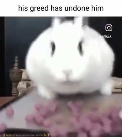 Greedy wunk 