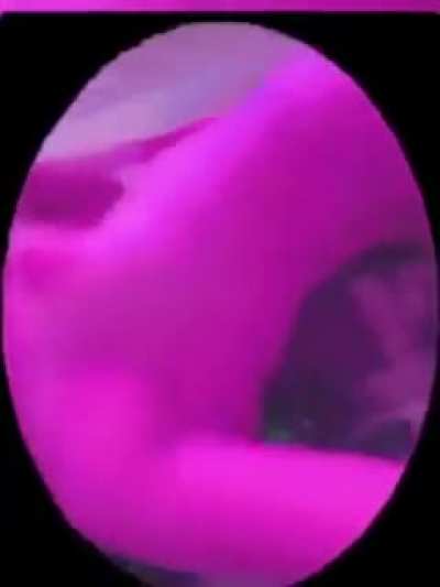 Mayabuckets Leaked 6