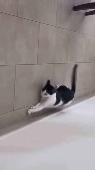 forget gravity