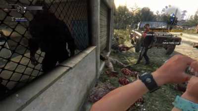 game is dying light: the following