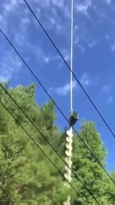 What could possibly go wrong?