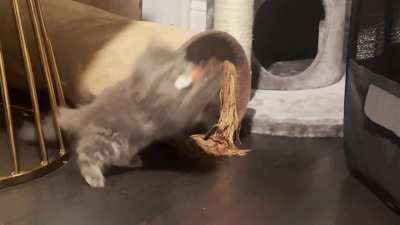 The greebles aren&rsquo;t taking his mouse (crab exit)
