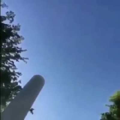 Rat goes to tha moon