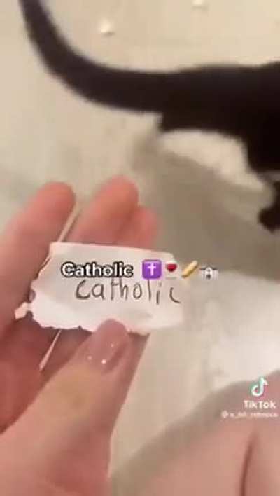 The based cat