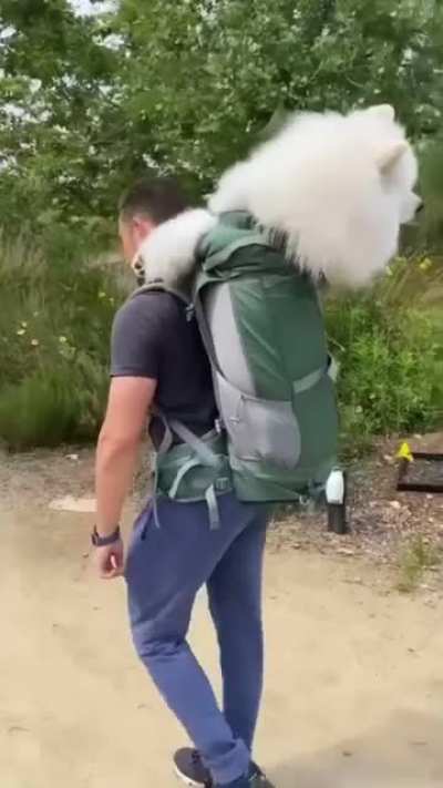 What the floof!