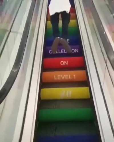 xd