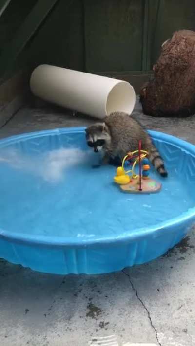 Little water baby