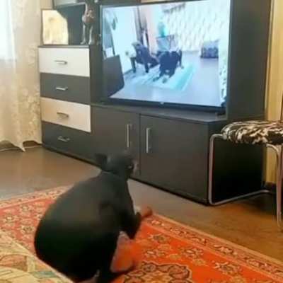 Maybe maybe maybe