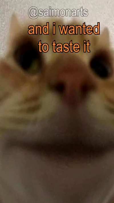 👉👈🙀